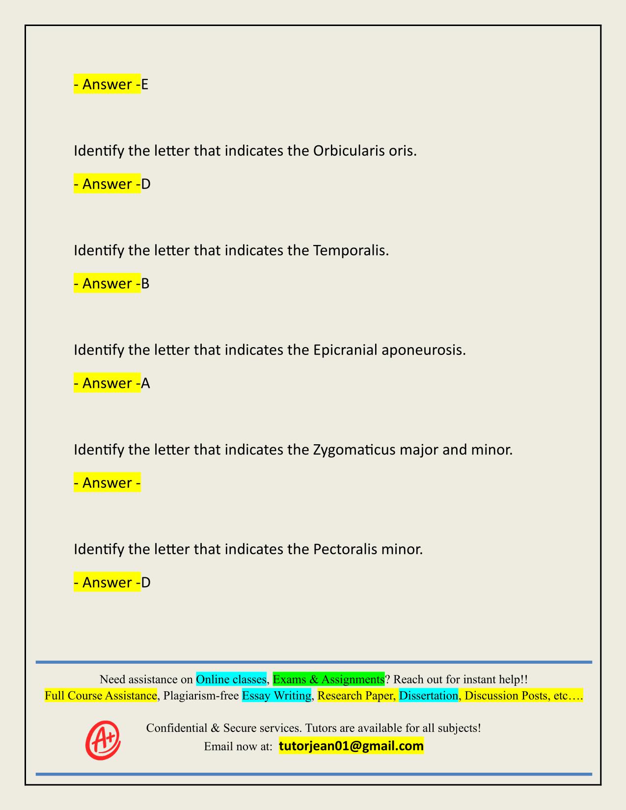 NIGHTINGALE ANATOMY FINAL CHAPTER 11 ACTUAL 2025/2026 CORRECTLY ANSWERED