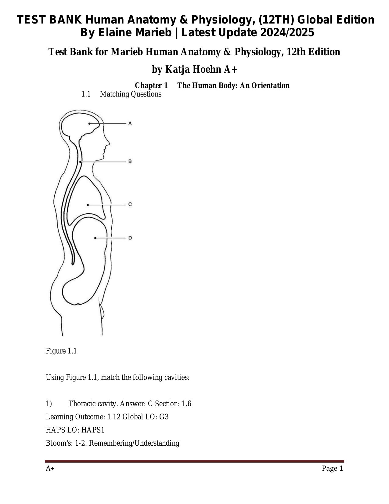 TEST BANK Human Anatomy & Physiology 12th Global Edition By Elaine Marieb ISBN: 9781292421803 Latest 2025/2026